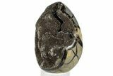 Septarian Dragon Egg Geode - Sparkly Black Crystals #329499-1
